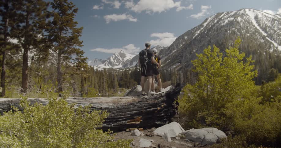 Two people stand on a fallen tree watching a mountain range