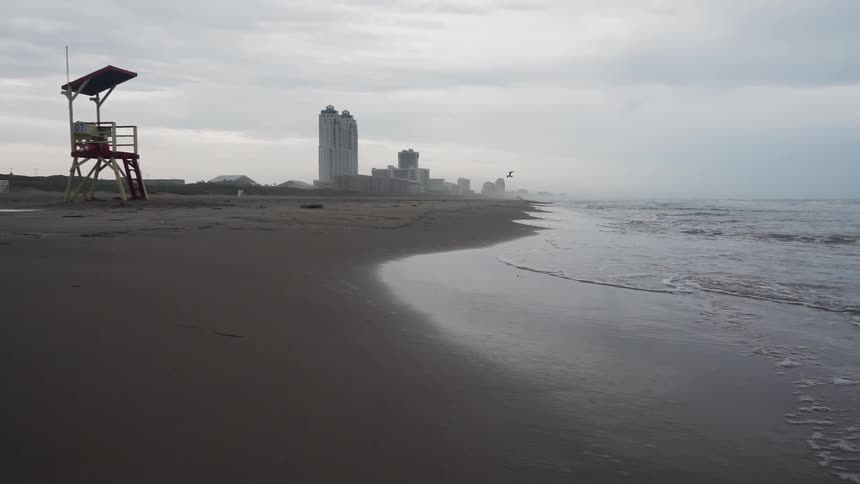 Birds fly over a sandy beach