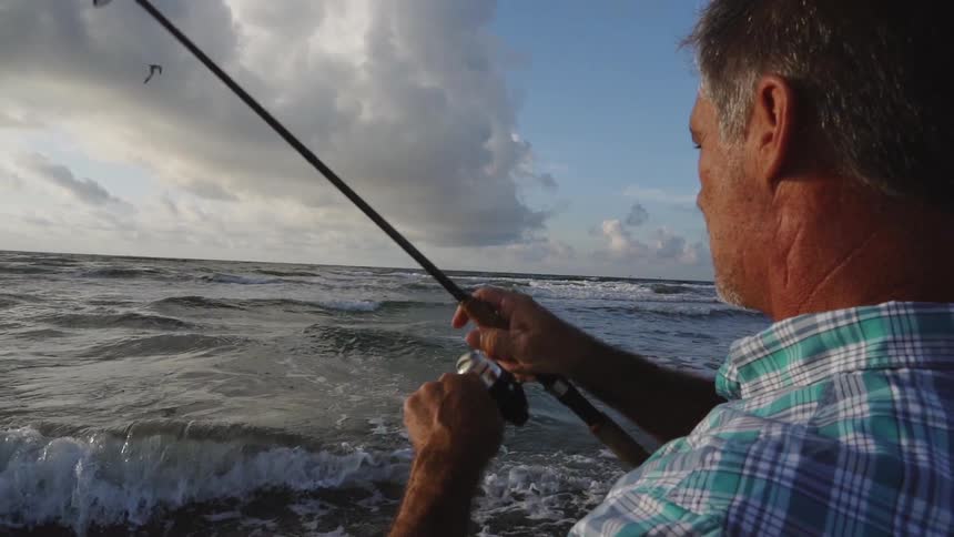 A bird flies as a man fishes on the beach