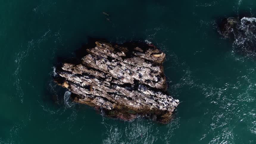 The bird flies on top of the rocks in the water