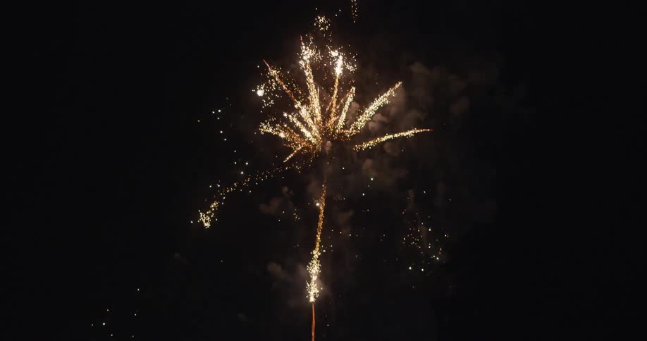 Fireworks explode in the night sky