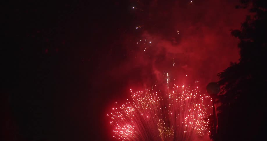 Fireworks explode in the night sky
