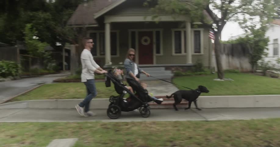 Two people walk with their children and dog