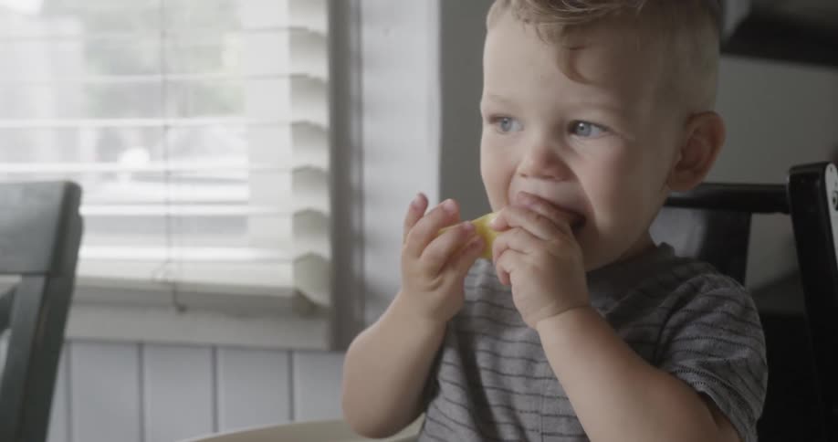 Toddler sits in a high chair eating food
