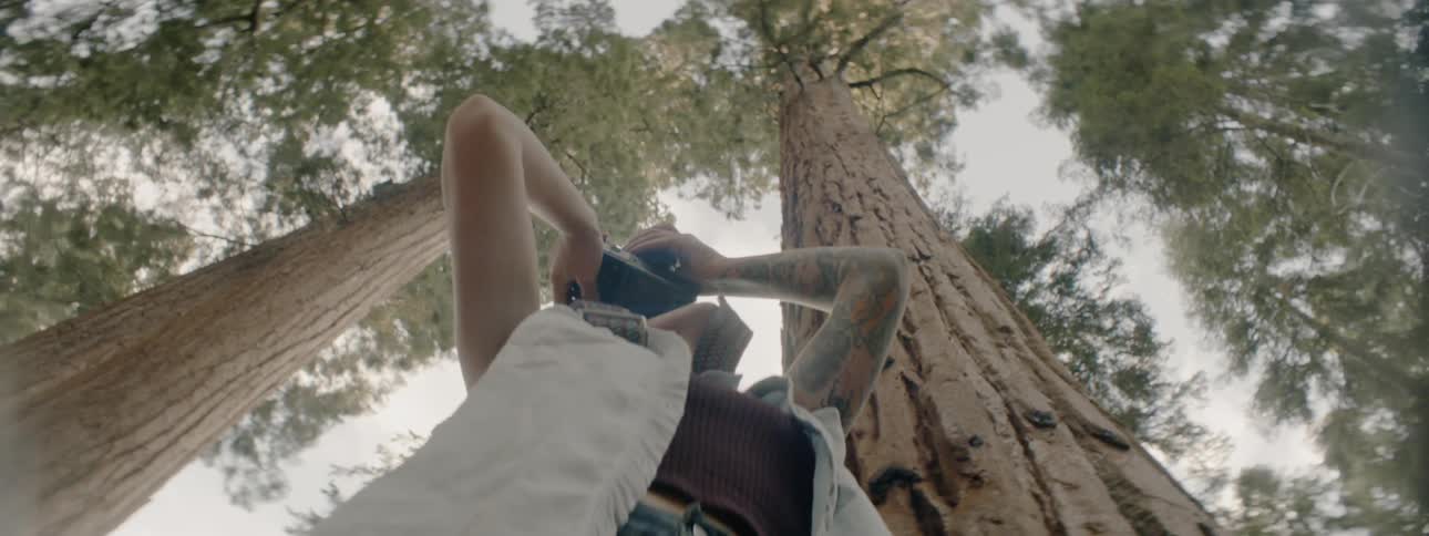 A woman takes photographs of the trees