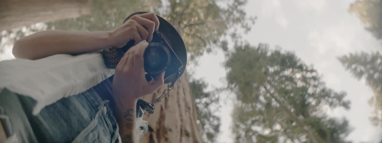 Woman Taking Pictures In Forest