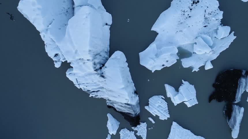 Icebergs float in the water