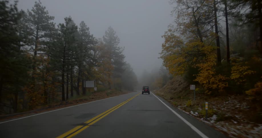 Moving down a tree lined road