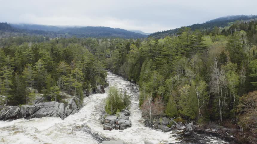 The rapids are rough and moving around the trees