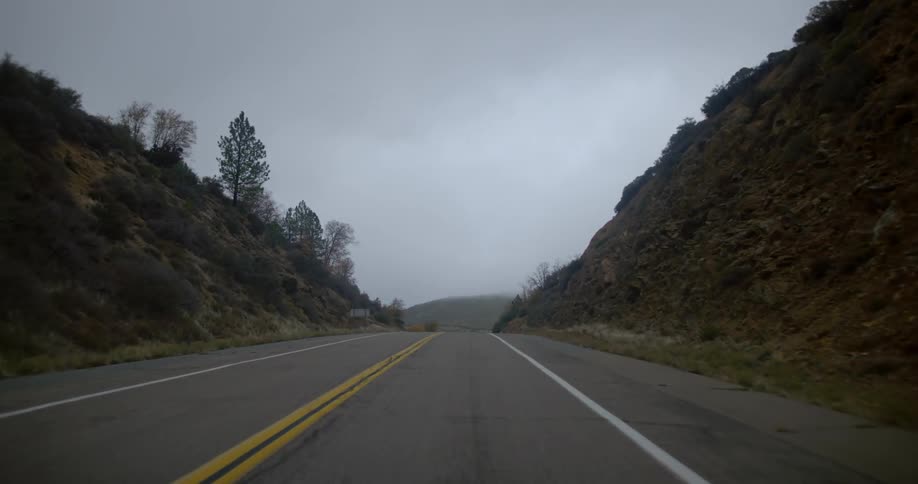 Driving down the road during the day