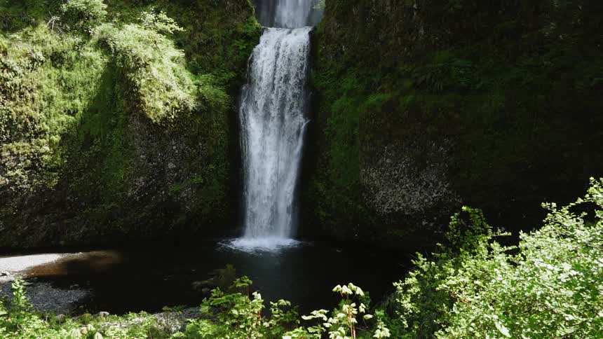 Oregon Forest Wilderness Scenics