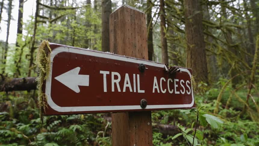 Oregon Forest Wilderness Scenics