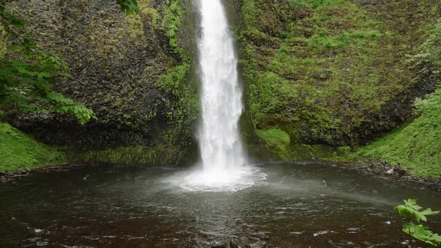 Oregon Forest Wilderness Scenics