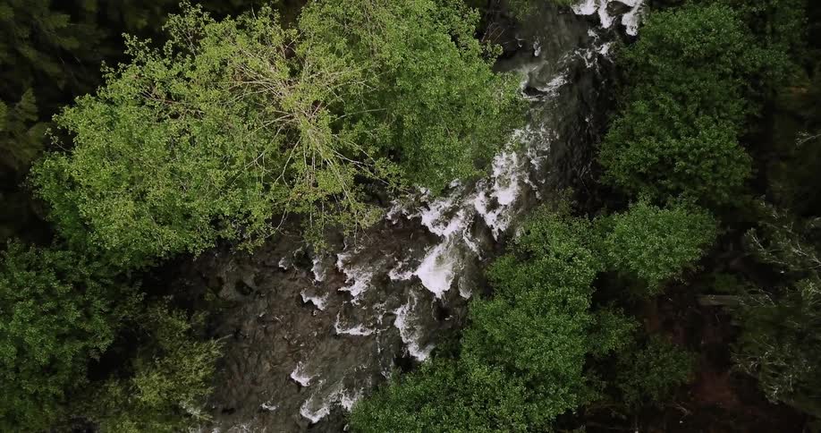 Water flows rapidly down a stream