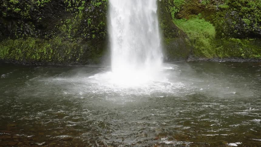 Oregon Forest Wilderness Scenics
