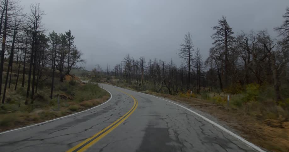 Traveling down a paved remote road towards a cloudy sky