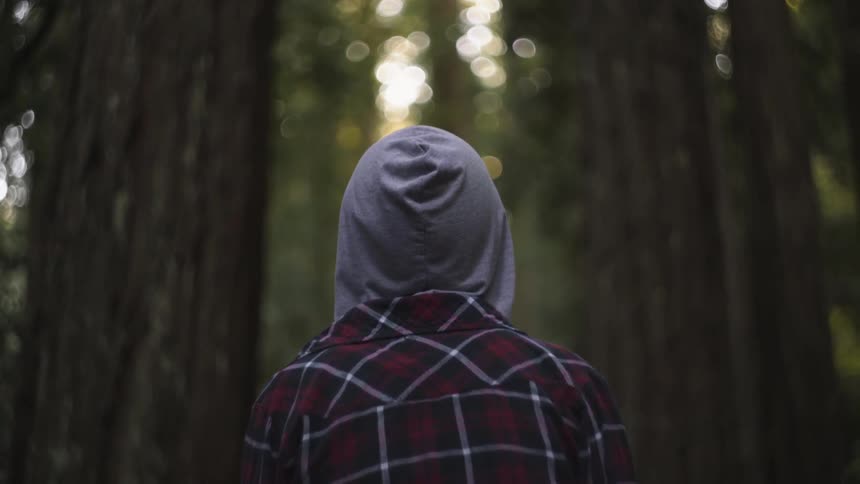 Back view of the shoulder and head of person standing in a forest