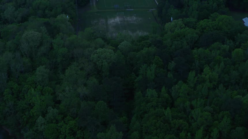 River runs through a forest of trees
