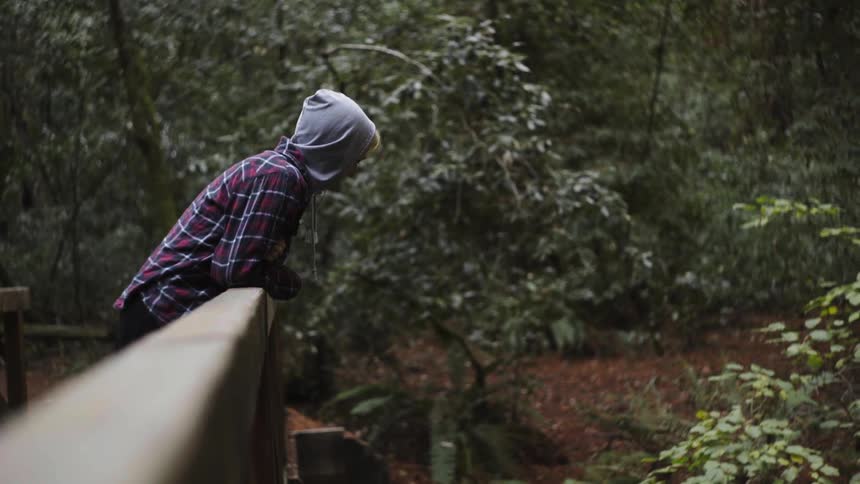 A woman leans on a wooden rail in the woods