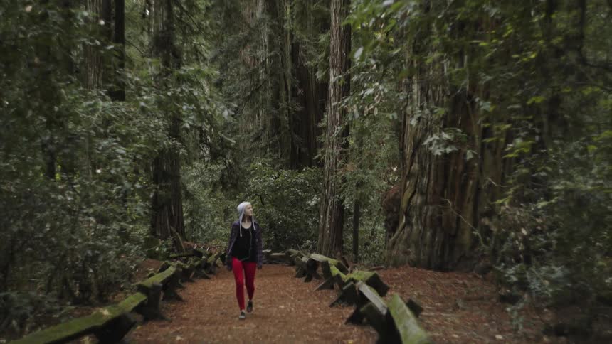 Woman walking down a trail amongst tall trees