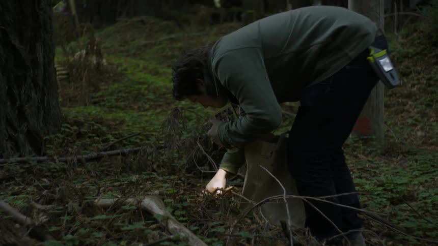 Man searching with a flashlight in the woods