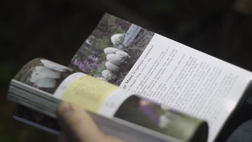 Person flipping pages backwards through a softcover book