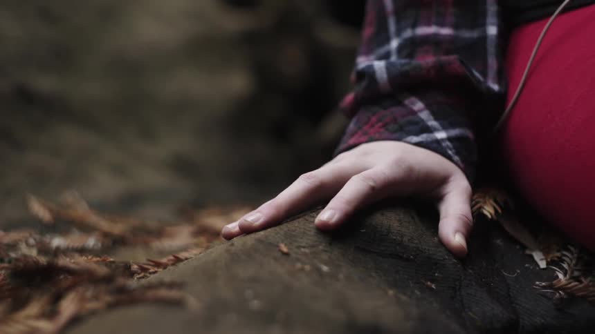 A hand touching forest floor