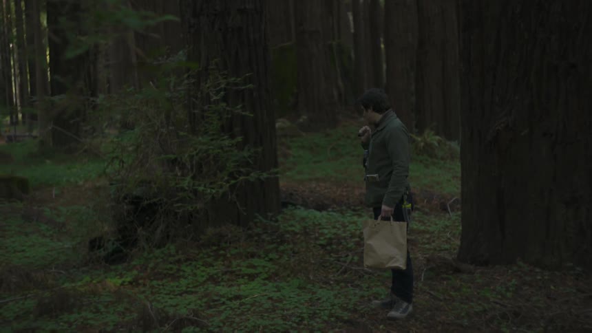 Mushroom Hunting
