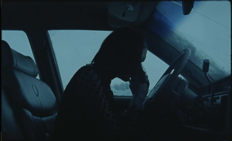 A cries inside the dark car