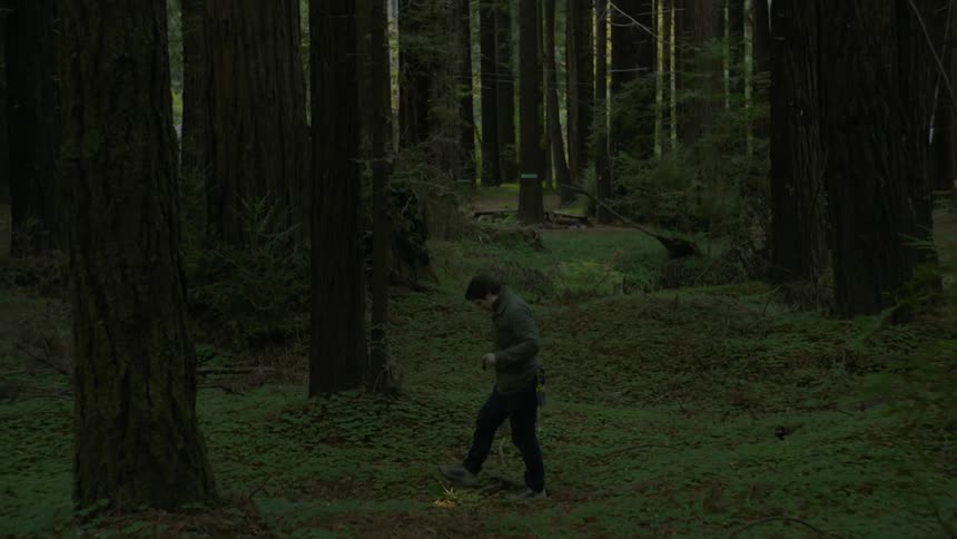 A man searches the forest ground with a flashlight