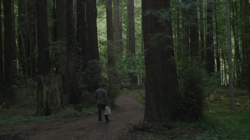 A man walks through the woods