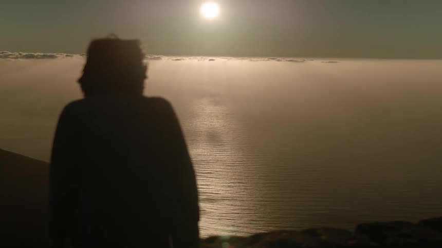 A silhouetted person looks at the ocean