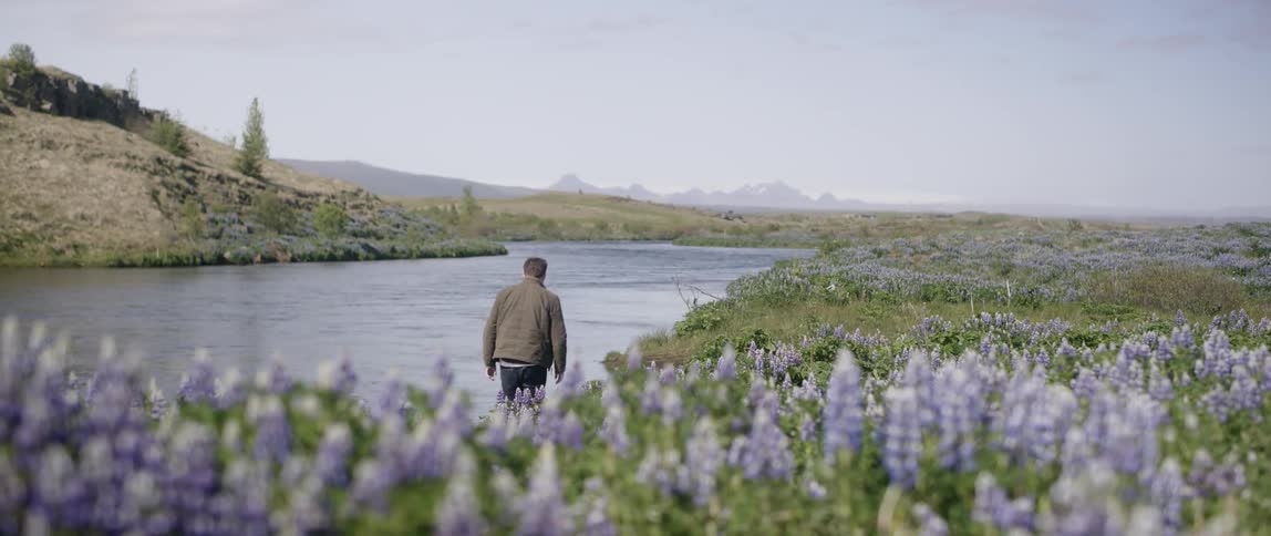 A man walks alongside a river in a meadow