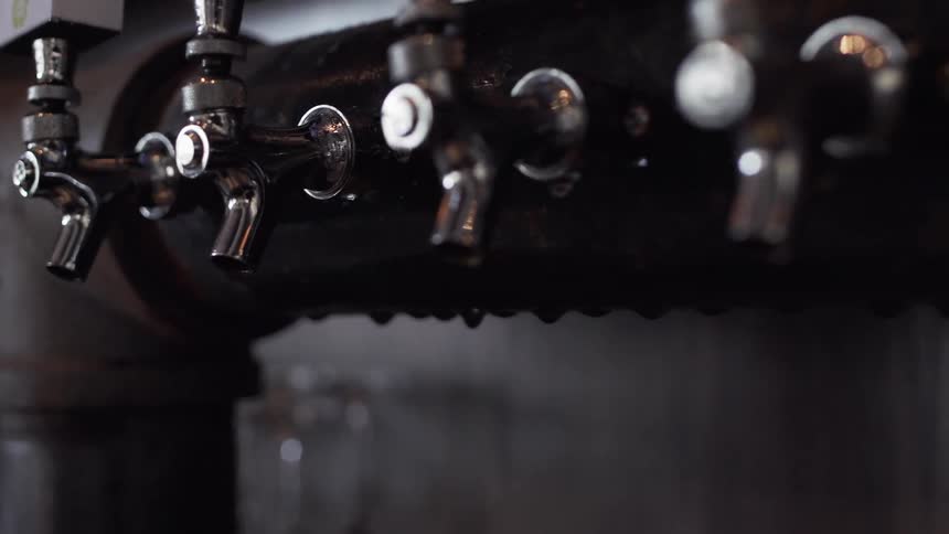 Beer taps protrude from a pipe