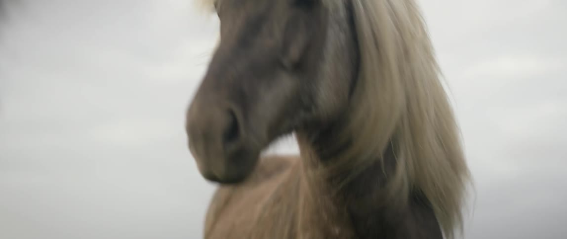 Friends Traveling Around Iceland