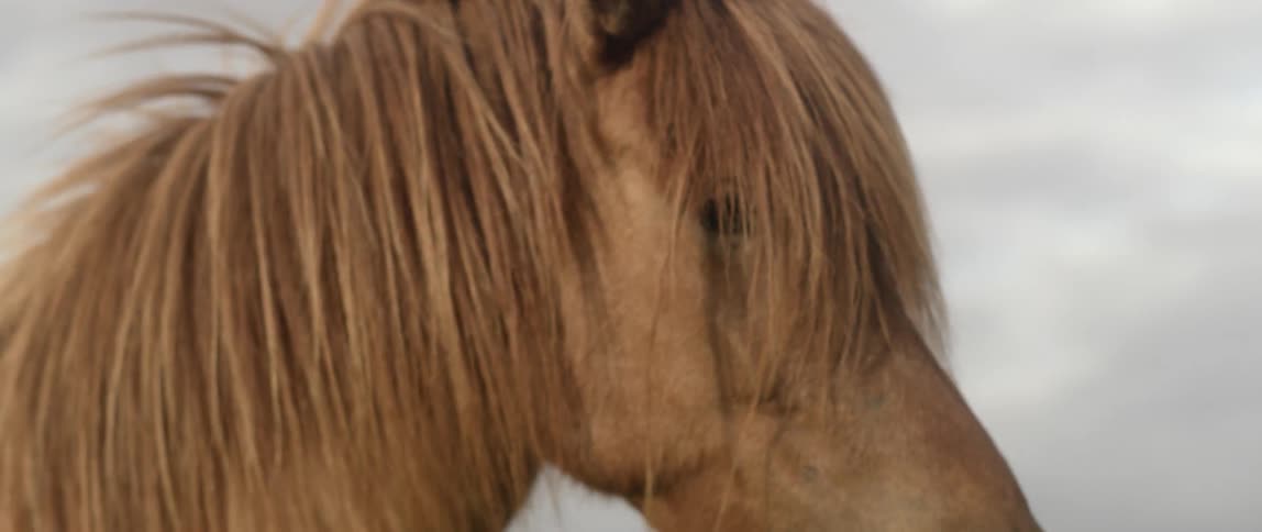 Friends Traveling Around Iceland