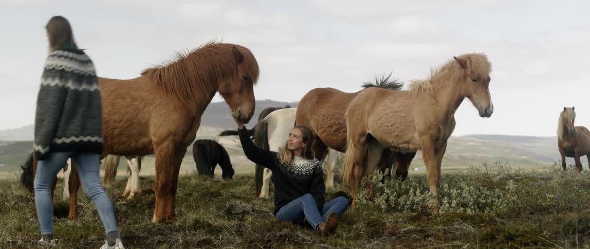 Woman is sitting and petting horses in pasture