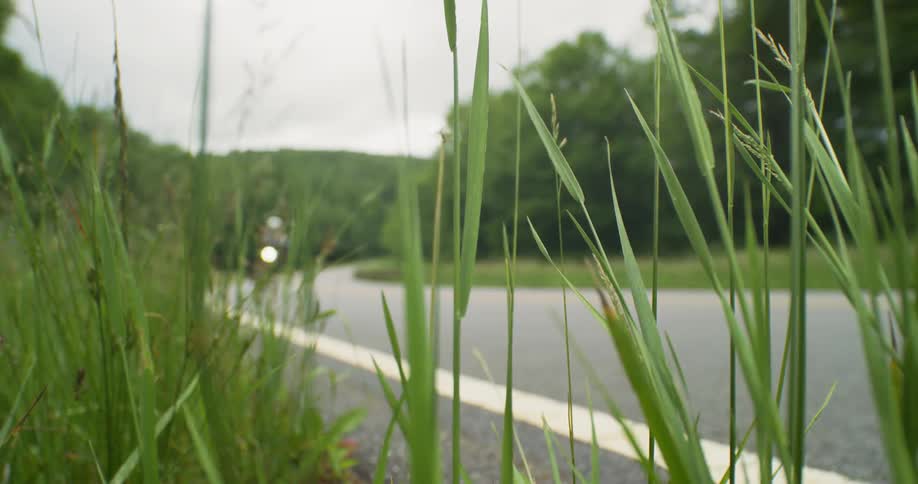 A motorcycle speeds by on the road