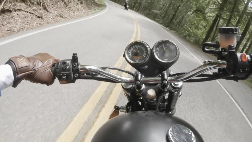 A motorcycle is driven through the woods