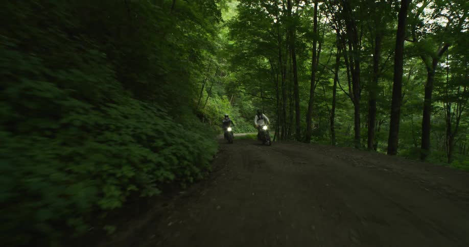 Two motorcycles drive on a forest dirt road