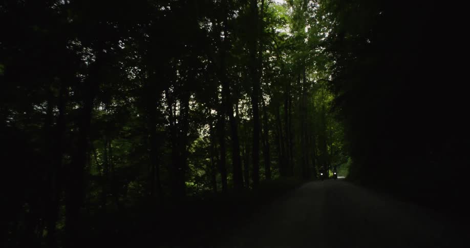 Two motorcycles drive on a forest dirt road