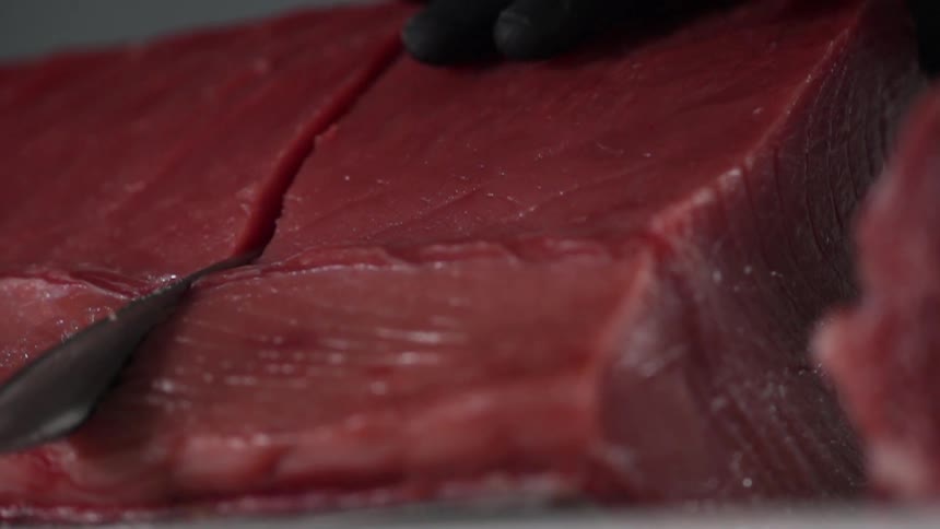 Tuna steak