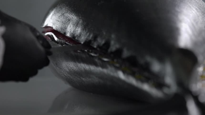 Hands use a knife to cut into a fish