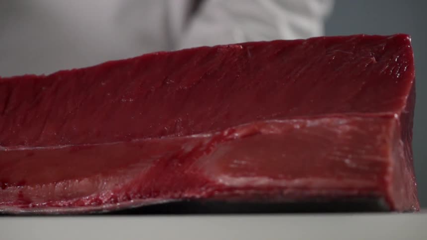 Tuna steak