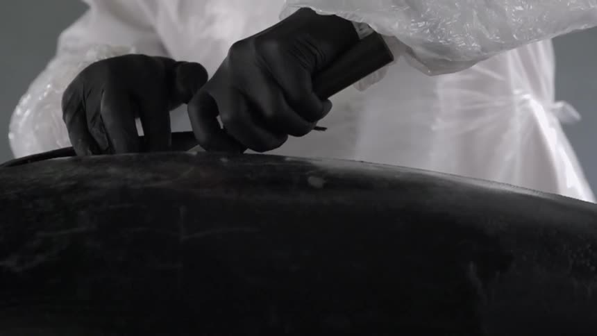 A butcher cuts a large fish