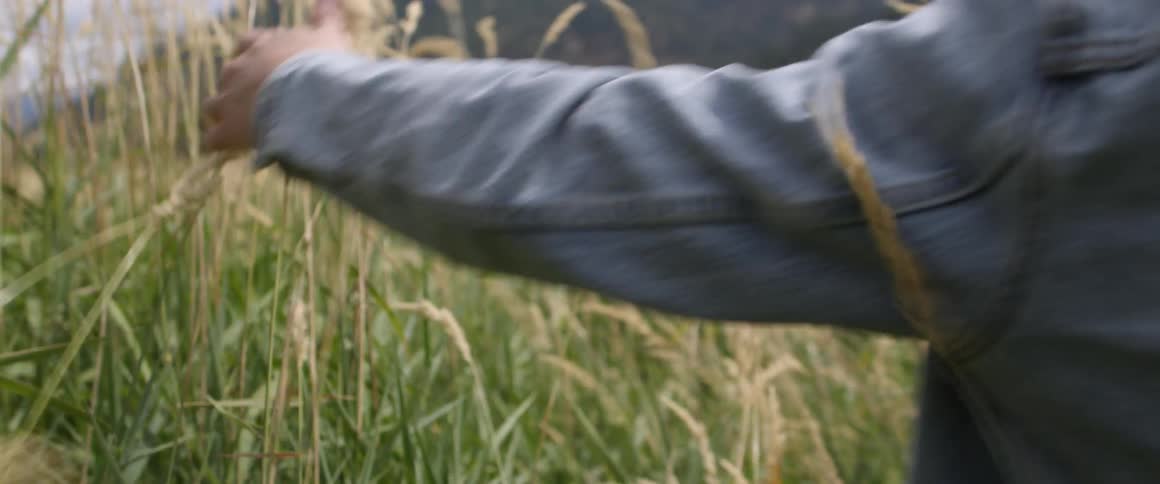 A man walks through a field of tall grass with his arm outstretched