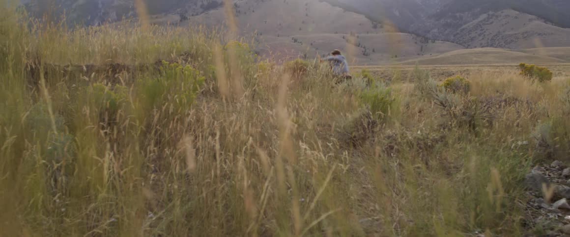 A man walks in a rural field