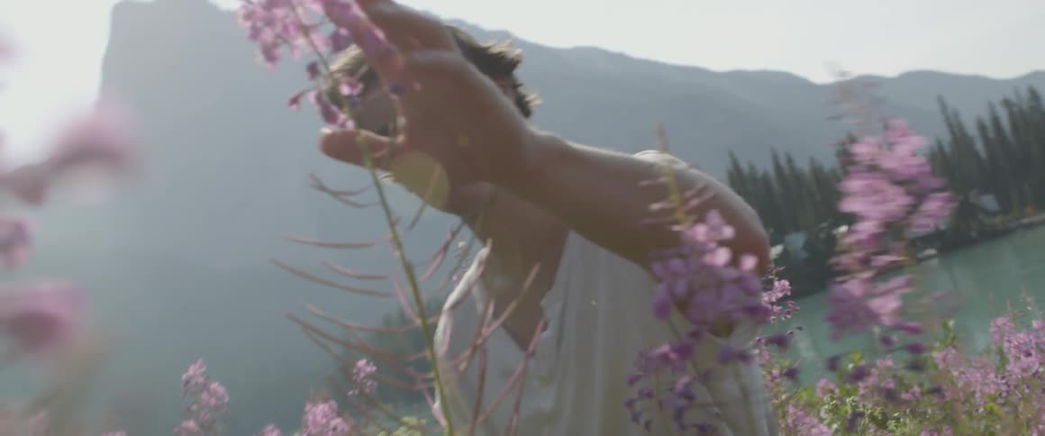 A man examines some purple flowers