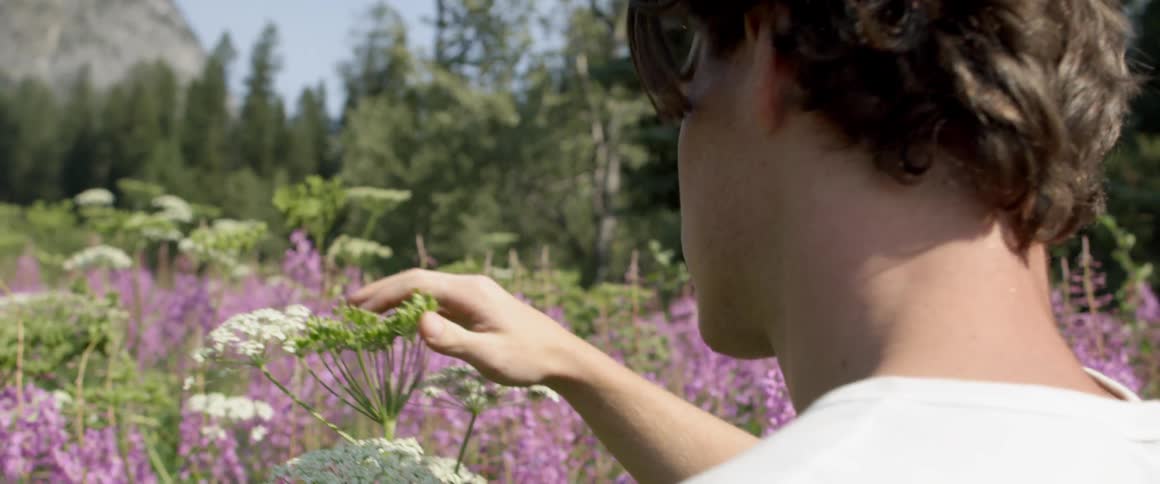 A man is examining the different flowers on the field