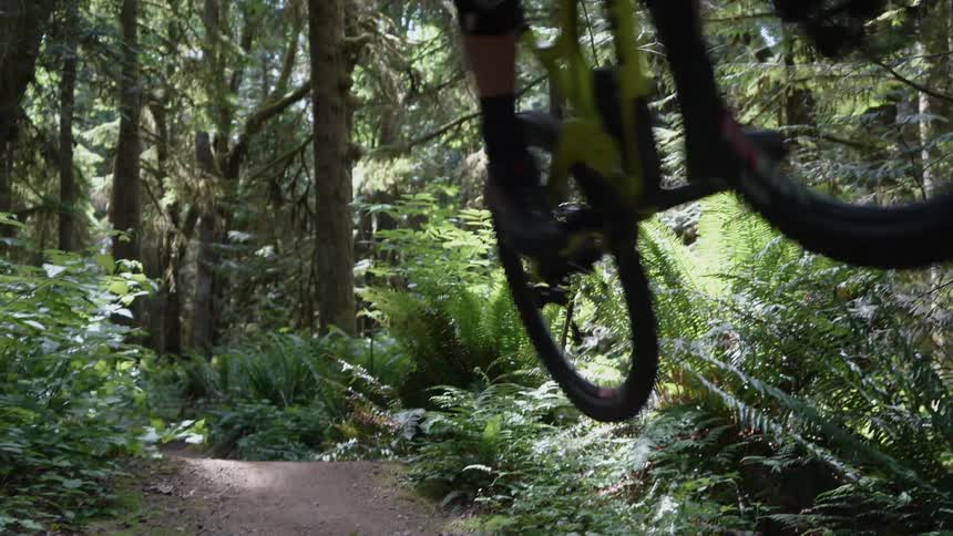 Person riding a bike does a jump in the woods